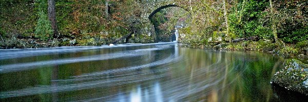 Rzeka, Mostek, Park