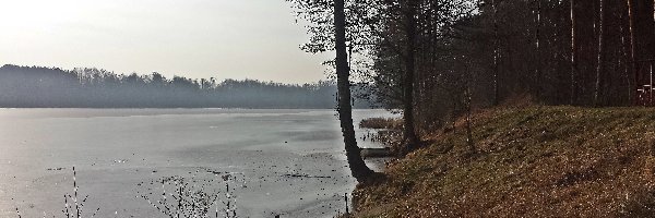 Staw Górny, Pionki