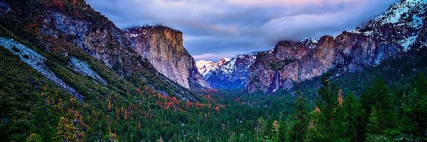 Mgła, Park Narodowy Yosemite, Góry, Kalifornia, Stany Zjednoczone, Drzewa, Las