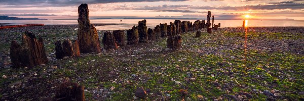Słońca, Jezioro, Wschód, Pale, Plaża, Kamienista