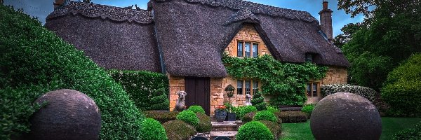 Dom, Pochmurny Dzień, Ogród, Anglia