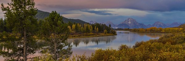 Stany Zjednoczone, Park Narodowy Grand Teton, Stan Wyoming, Drzewa, Góry