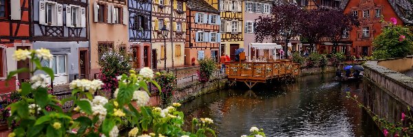 Rzeka, Francja, Kwiaty, Domy