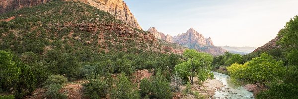 Drzewa, Park Narodowy Zion, Góra Watchman, Stan Utah, Stany Zjednoczone, Rzeka Virgin River, Góry