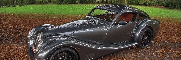 Liście, Park, Morgan Aero 8