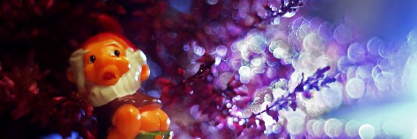 Bokeh, Krasnoludek, Wrzos