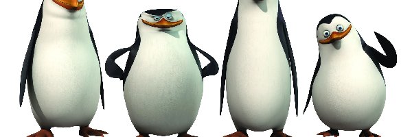 The Penguins of Madagascar, Pingwiny z Madagaskaru, Ptaki