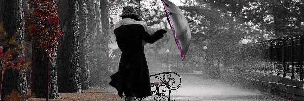 Parasol, Kobieta, Deszcz, Park