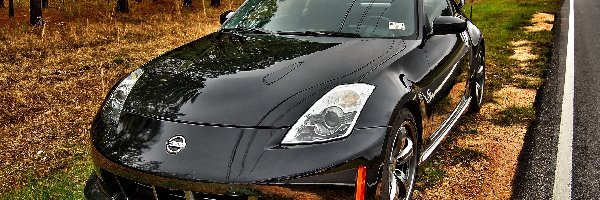 Pobocze, Las, Nissan350Z