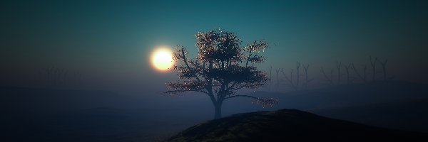 Drzewo, Księżyc, Mgła, Noc