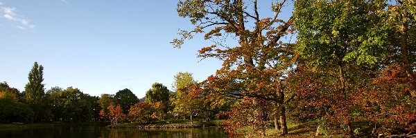 Park, Japonia, Nakajima, Jezioro