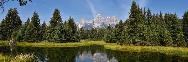 Odbicie, Park Narodowy Grand Teton, Rzeka Snake River, Stan Wyoming, Stany Zjednoczone, Góry Teton Range, Drzewa