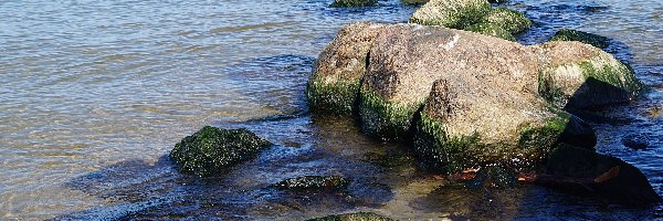 Kamienie, Woda, Plaża