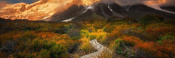 Dróżka, Szlak Hooker Valley, Góry, Park Narodowy Góry Cooka, Nowa Zelandia, Roślinność, Góra Cooka