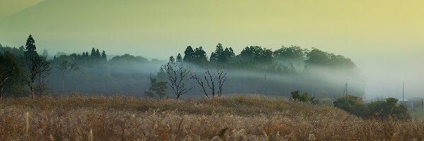 Góry, Mgła, Trawy