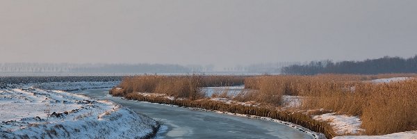 Trawa, Zima, Śnieg, Rzeka