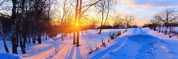 Zima, Słońca, Wschód, Droga, Drzewa