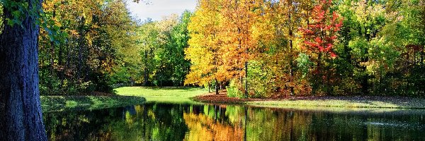 Park, Kolorowe, Rzeka, Jesień, Drzewa