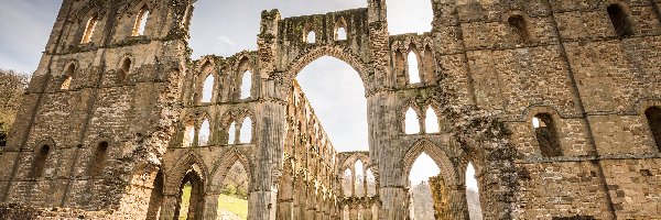 Atrakcja, Park Narodowy North York Moors, Ruiny, Turystyczna, Rievaulx Abbey, Anglia