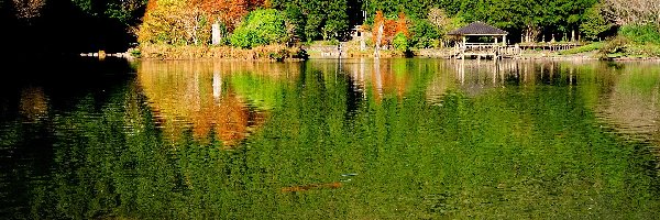 Las, Kamienie, Jezioro