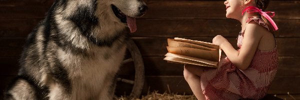 Alaskan malamute, Dziewczynka, Pies