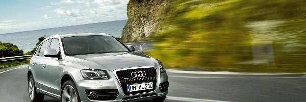 Droga, Audi Q5, Srebrne