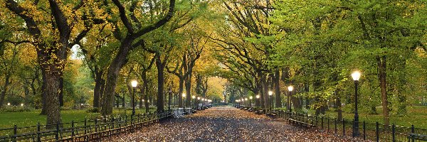 Alejka, Central Park, Ławki, Nowy Jork, Stany Zjednoczone, Jesień, Latarnie