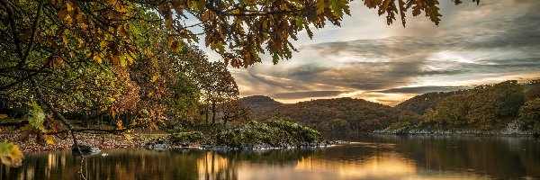 Anglia, Drzewa, Hrabstwo Kumbria, Jezioro Coniston Lake, Wzgórza