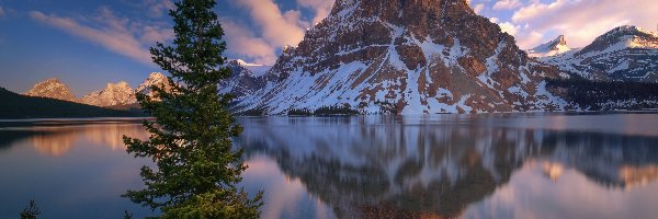 Jezioro Bow Lake, Góry, Szczyt Crowfoot Mountain, Drzewa, Park Narodowy Banff, Kanada