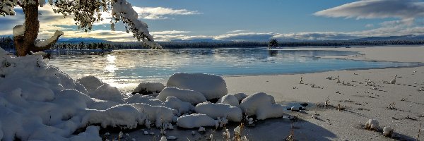 Zima, Poranek, Drzewo, Norwegia, Rzeka