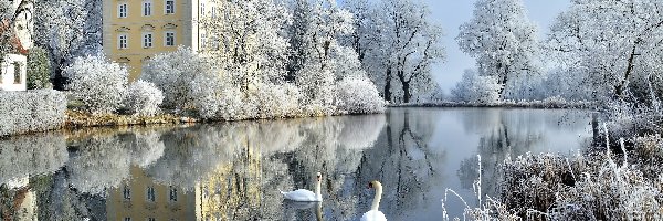 Bawaria, Łabędzie, Pałac, Niemcy, Staw, Zima