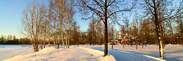 Zima, Droga, Śnieg, Domek, Drzewa