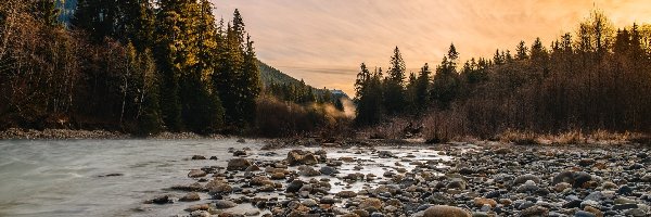 Las, Kamienie, Rzeka