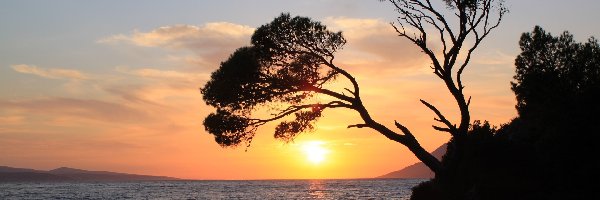Słońce, Drzewo, Morze