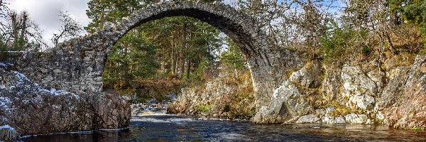 Szkocja, Kamienie, Rzeka Dulnain, Drzewa, Most Carrbridge