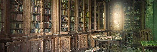Stara, Biblioteka, Zniszczona, Zaniedbana