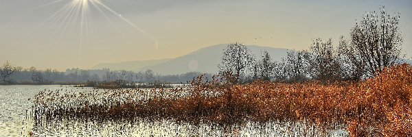 Jezioro, Trzciny, Słońce, Jesienne