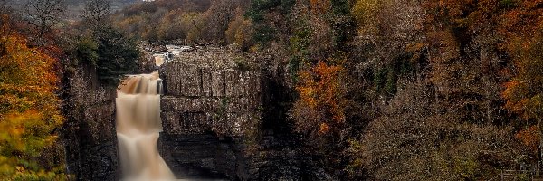 Wodospad High Force, Hrabstwo Durham, Skały, Drzewa, Rzeka Tees, Jesień, Las, Anglia