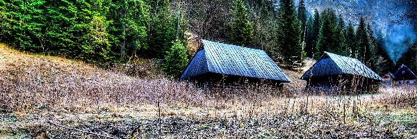 Domy, Góry, Domki, Las, Tatry, Polska