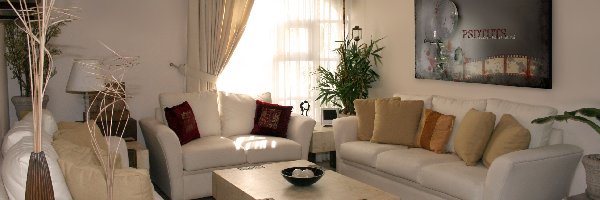 Stolik, Okno, Kwiaty, Kanapy