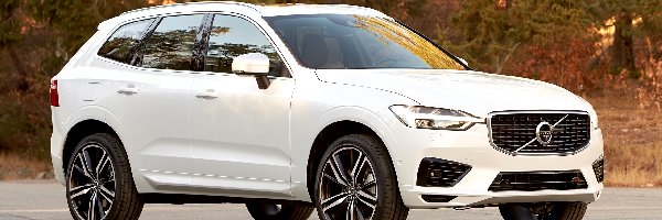 Volvo XC60, Las, 2017, Białe