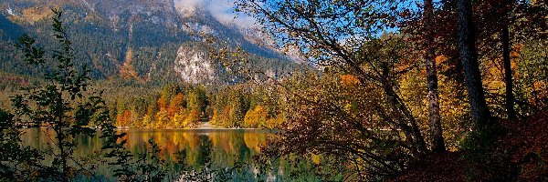 Góry, Jezioro Tovel, Lasy, Jesień, Włochy