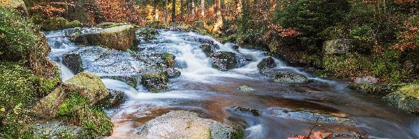 Rzeka Selke, Saksonia-Anhalt, Jesień, Kamienie, Góry Harz, Wodospad Selkefall, Las, Niemcy