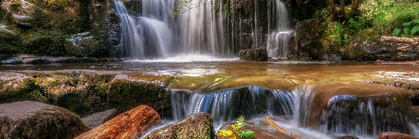 Walia, Wodospad, Park Narodowy Brecon Beacons, Las, Kamienie