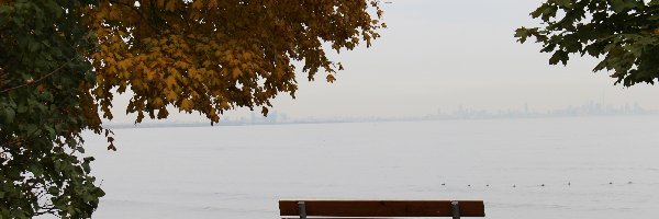 Brzeg, Liście, Ławeczka, Jeziora, Drzewa, Jesień