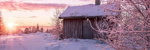 Zima, Chata, Śnieg, Wschód słońca, Drzewa