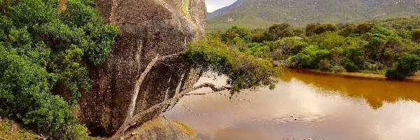 Australia, Góry, Kamień, Las, Rzeka