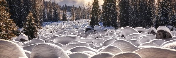 Zima, Las, Chmury, Śnieg, Kamienie