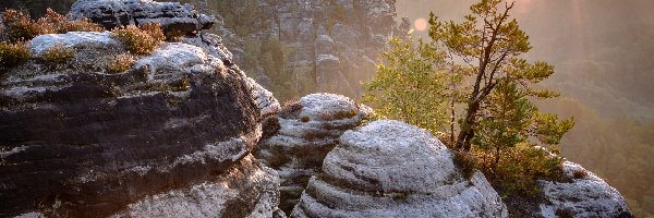 Promienie słońca, Bastei, Skały, Park Narodowy Saskiej Szwajcarii, Niemcy, Drzewa, Góry Połabskie