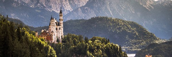 Lasy, Zamek Neuschwanstein, Góry Alpy, Drzewa, Bawaria, Niemcy